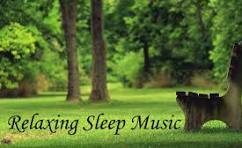 Sleep sounds feel relax